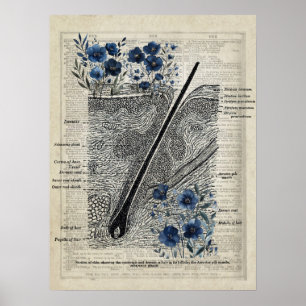 Skin Anatomy Blue Floral Vintage Dictionary Art de Poster