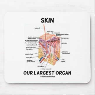 Skin Our Largest Organ (Dermal Layers) Mouse Mat