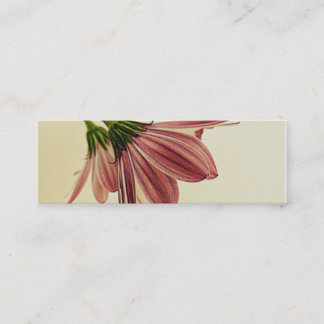 Skinny Business Cards Shawna's African Daisys