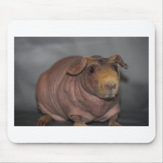 Skinny Pig Mouse Mat