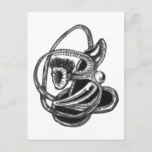 Skinside Out Postcard