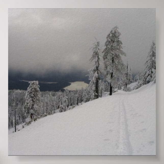 Skintrack @ Hull Mountain photo enlargement Poster (Front)