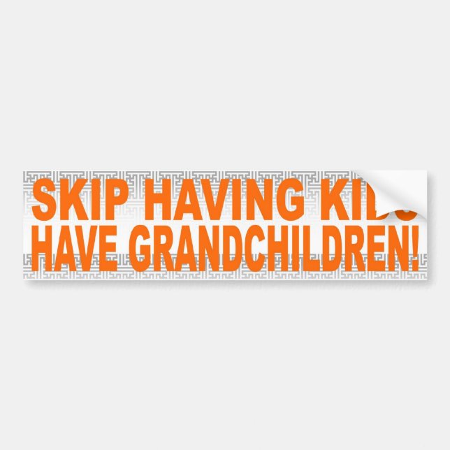 SKIP HAVING KIDS, HAVE GRANDCHILDREN! BUMPER STICKER (Front)