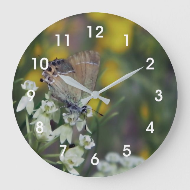 Skipper butterfly on a flower large clock (Front)
