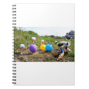 Skippie ball race by Fubby dolls on balloons. Notebook