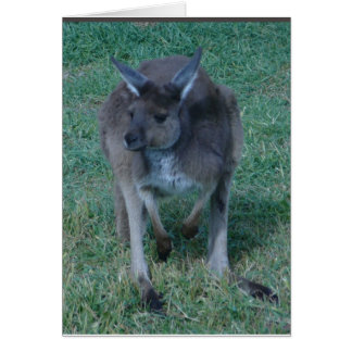 Skippy  kangaroo Card