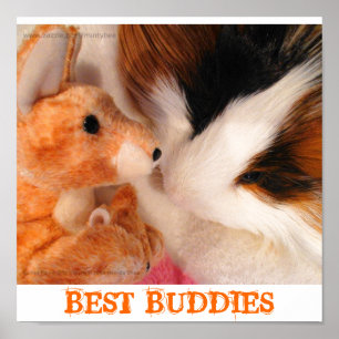 Skippy Pig & Roo Stuffy Poster