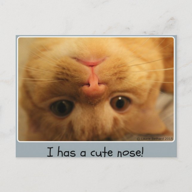Skippy's Little Nose Postcard (Front)