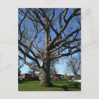 Skis in a tree postcard