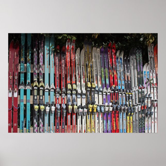 Skis Poster (Front)