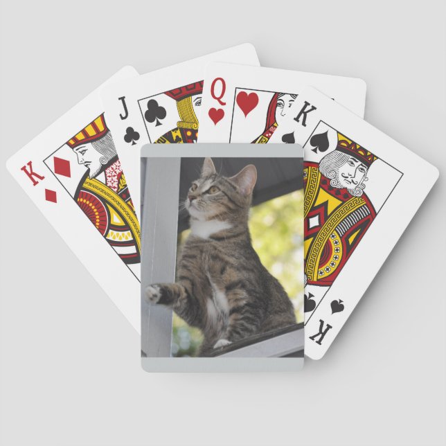 Skittles The Cat Playing Cards (Back)