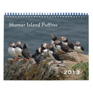 Skomer Island Puffins 2013 Calendar