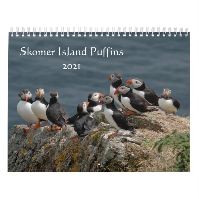 Skomer Island Puffins 2021 Wales Calendar (Cover)