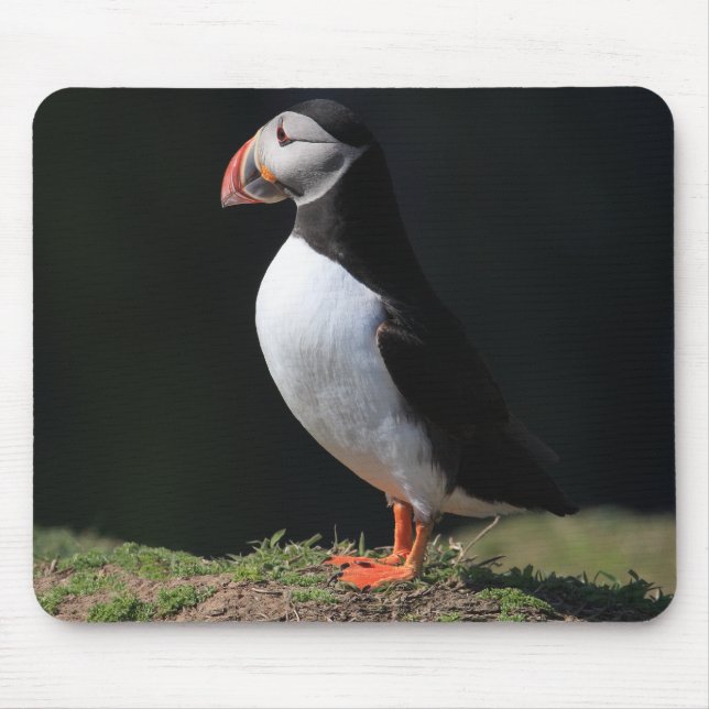 Skomer Island Puffins Mouse Mat (Front)