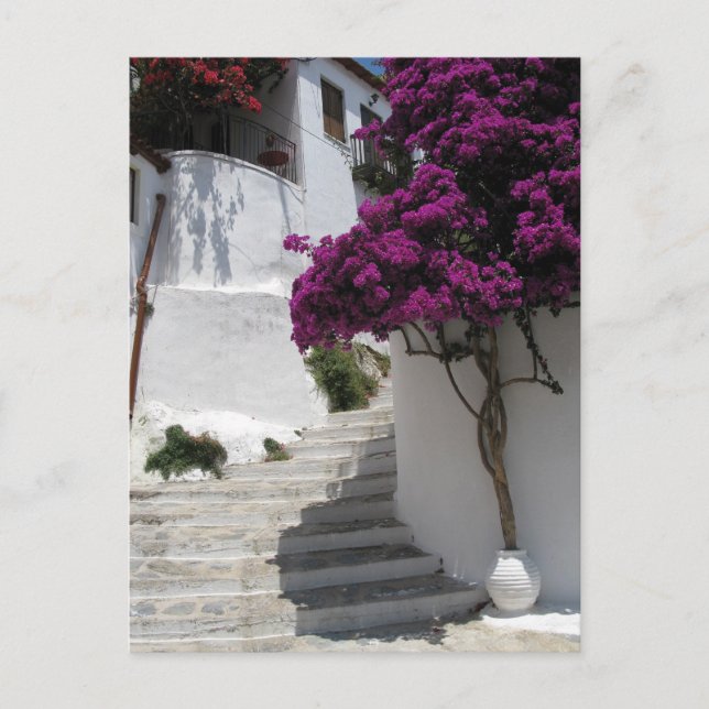 Skopelos, Greece Postcard (Front)