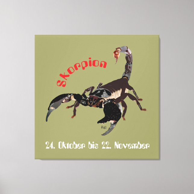 Skorpion 24. Oktober bis 22. November Leinwand Canvas Print (Front)