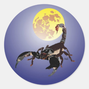 Skorpion Aufkleber Classic Round Sticker