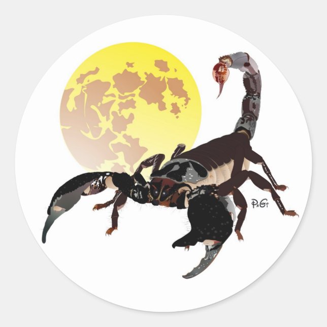 Skorpion Aufkleber Classic Round Sticker (Front)
