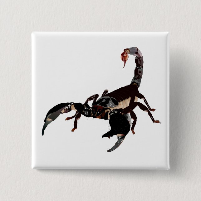 Skorpion Buttons (Front)