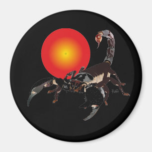 Skorpion Magnet