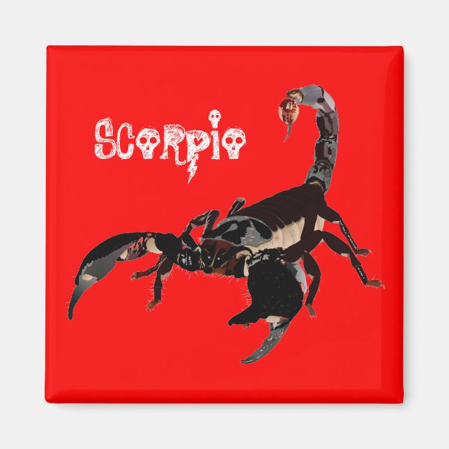 Skorpion Magnet (Front)