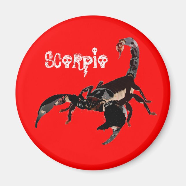 Skorpion Magnet (Front)