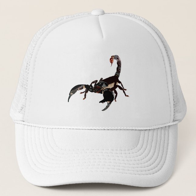 Skorpion - Sternzeichen Cap (Front)