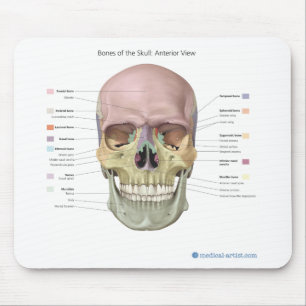 Skull Anatomy Mouse Mat