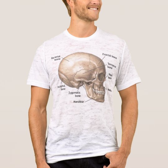 Skull Anatomy vintage style mens tshirt