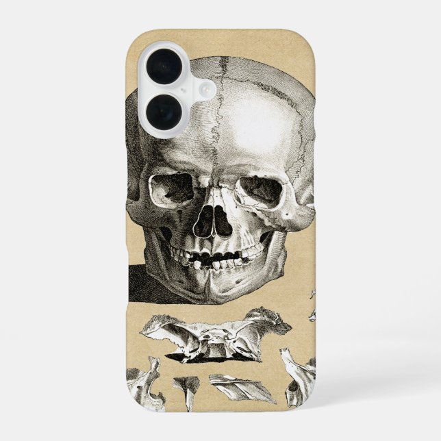 Skull and Bones Anatomy iPhone 16 Case (Back)