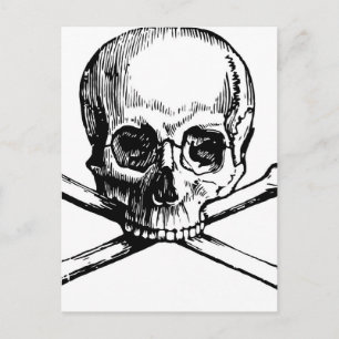 Skull and Bones Postcard