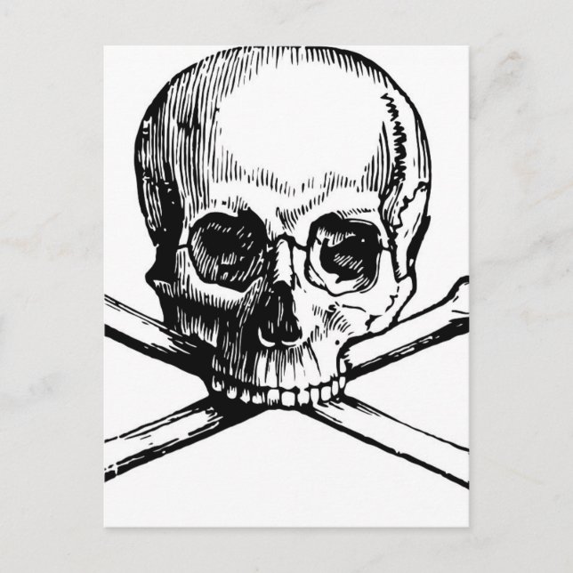 Skull and Bones Postcard (Front)