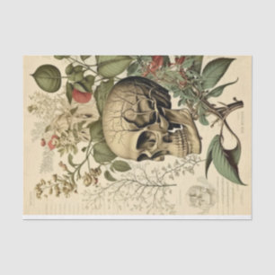 Skull and botany Victorian Decoupage Tissue Paper