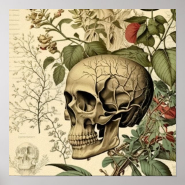Skull and botany Victorian Poster (Front)