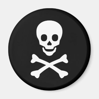 Skull and Crossbones Magnet