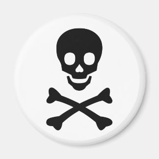 Skull and Crossbones Magnet
