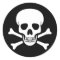 Skull and Crossbones Sticker