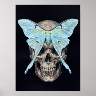 Skull and Luna Moth — Memento Mori Impasto Poster