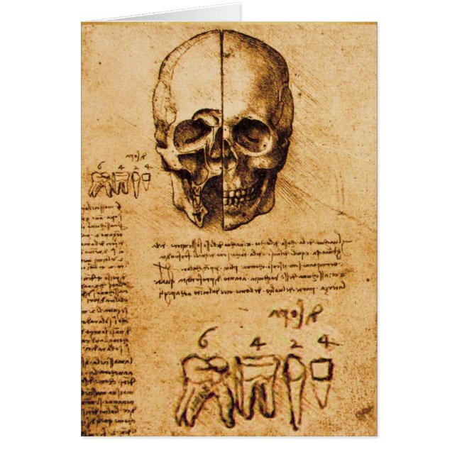 SKULL AND TEETH ,DENTAL CLINIC ,DENTIST Parchment (Front)