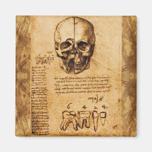 SKULL AND TEETH ,DENTAL CLINIC ,DENTIST Parchment Magnet