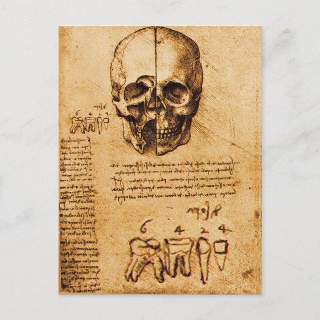 SKULL AND TEETH ,DENTAL CLINIC ,DENTIST Parchment Postcard (Front)