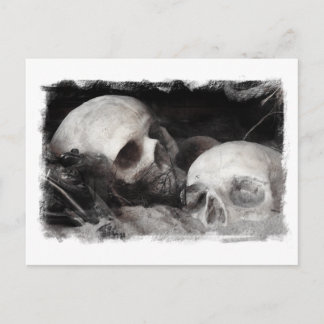 Skull Buddies Postcard
