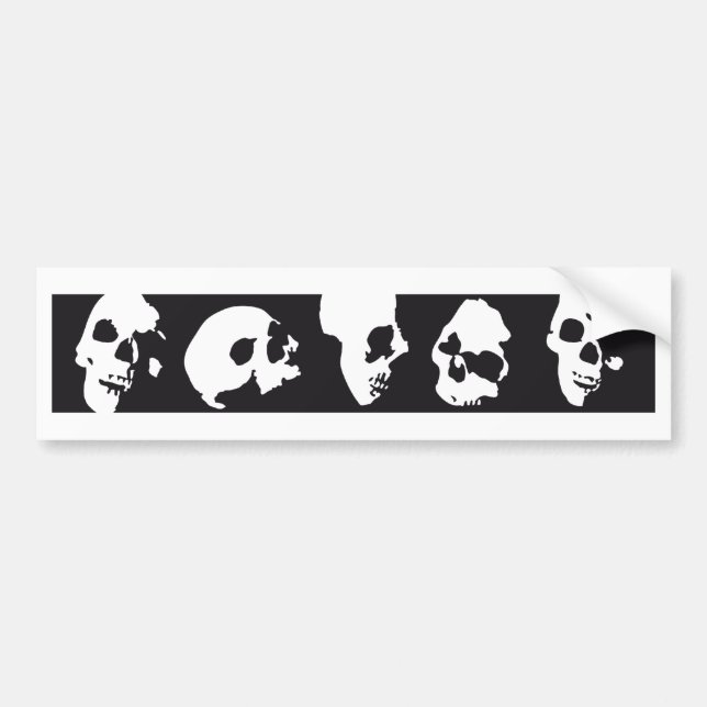skull bumper sticker (Front)