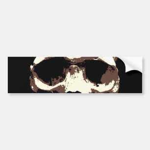 Skull Bumper Sticker