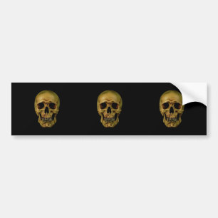 Skull Bumper Sticker