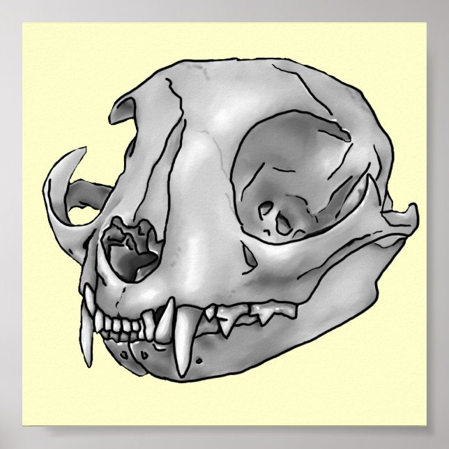 Skull Cat Poster (Front)