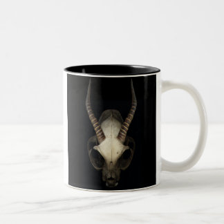 skull coffee mug