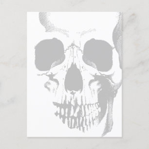 Skull Face Grey Postcard