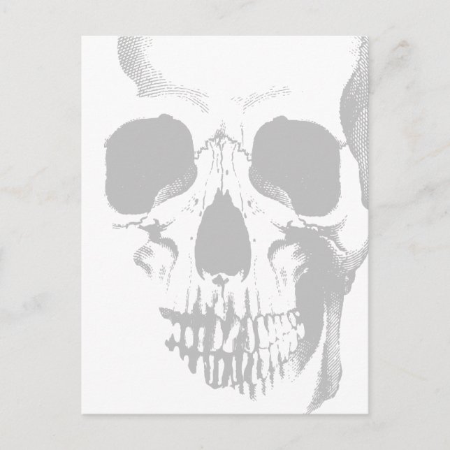 Skull Face Grey Postcard (Front)