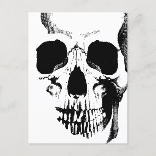 Skull Face Postcard